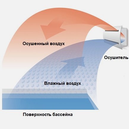 ТОП 10 вопросов об осушителях воздуха - autokoreazap.ru